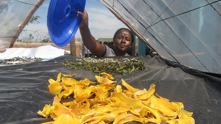 A woman shows how she preerves her vegetales using a sun drier.JPG