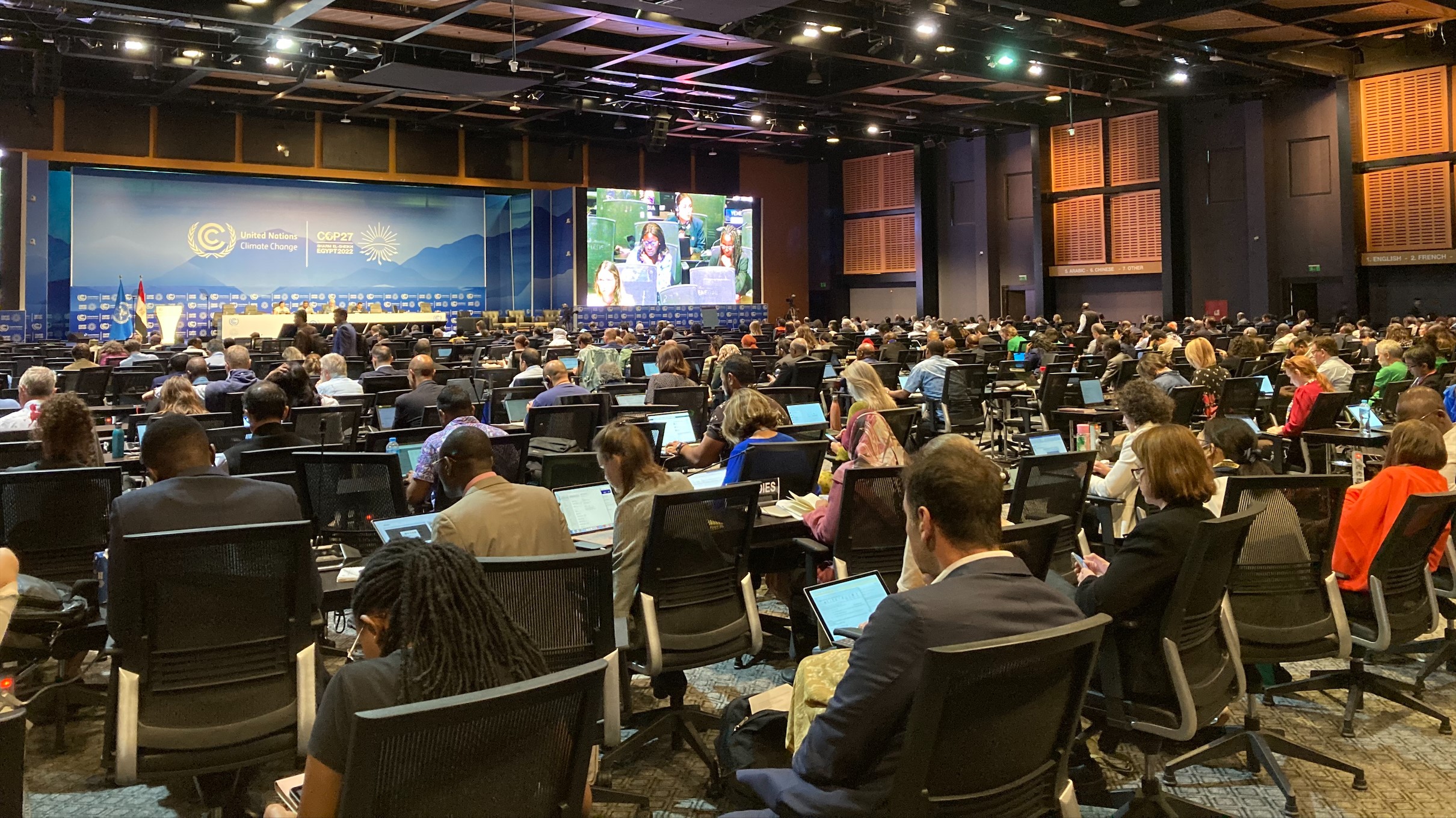 COP27 plenary crop.jpeg