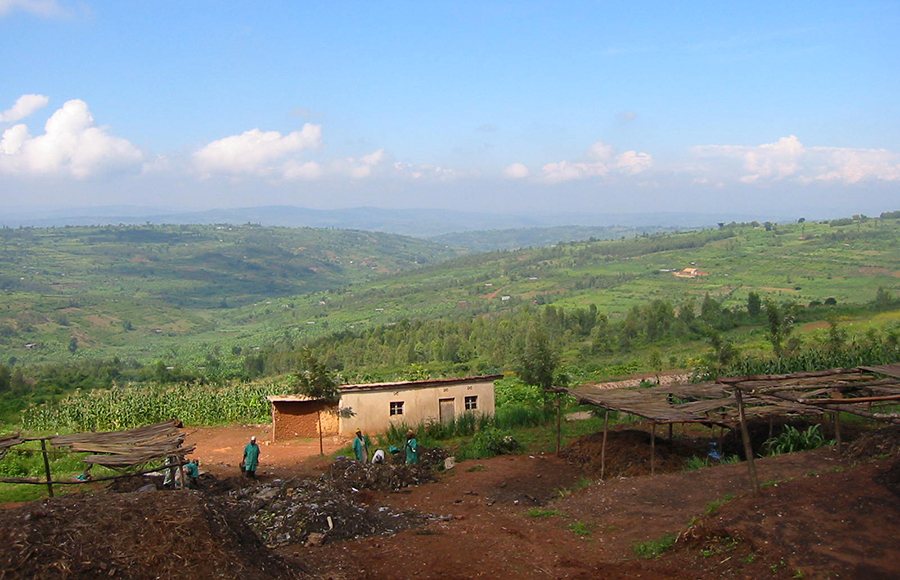 Copy of Rwanda Field 2.JPG