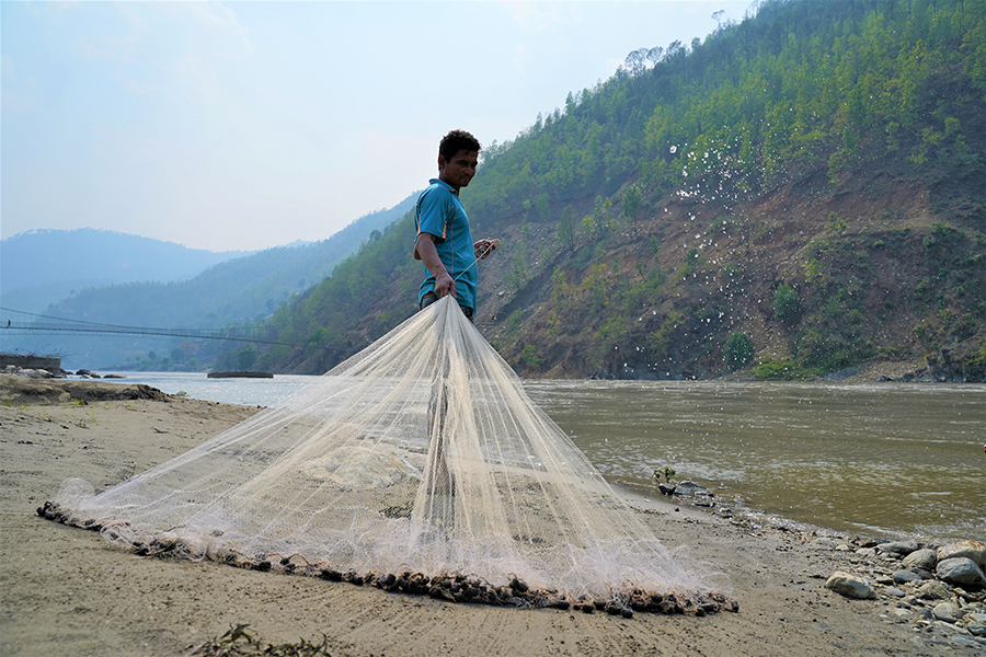 DSC09402 - dragging fish net nice shot.JPG