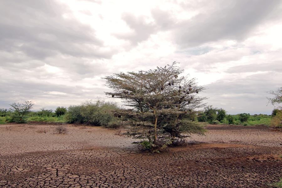 Effects of climate change in northern Kenya.JPG