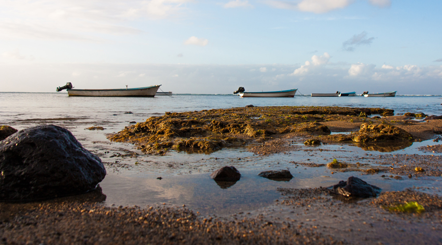 Mauritius-Climate-009c3a.jpg