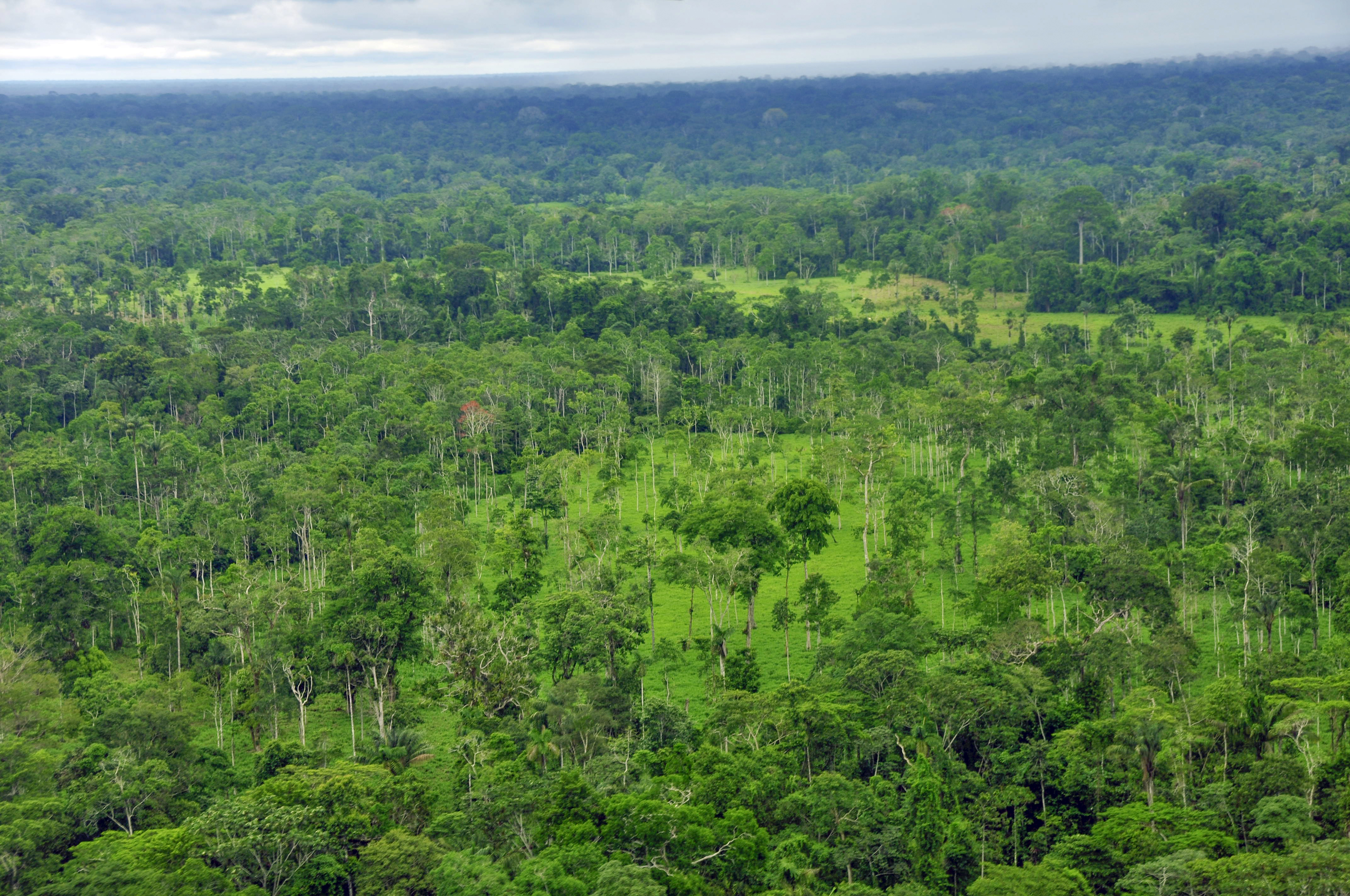 Taisha_Ecuador - Defra Landscapes ACV3854.jpg