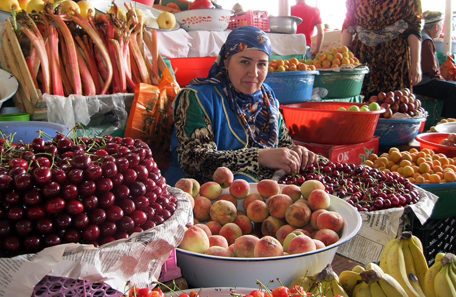 Tajikistan Family Farming Program photo.JPG