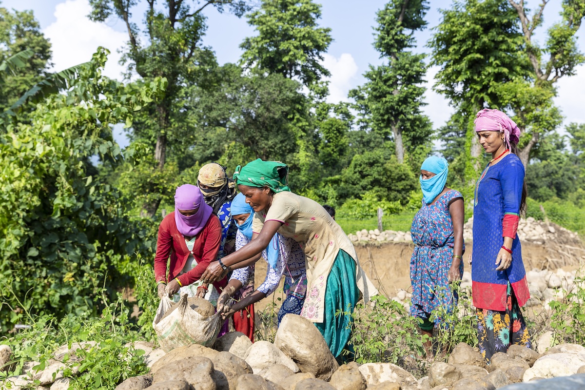 Tayer Nepal Cash